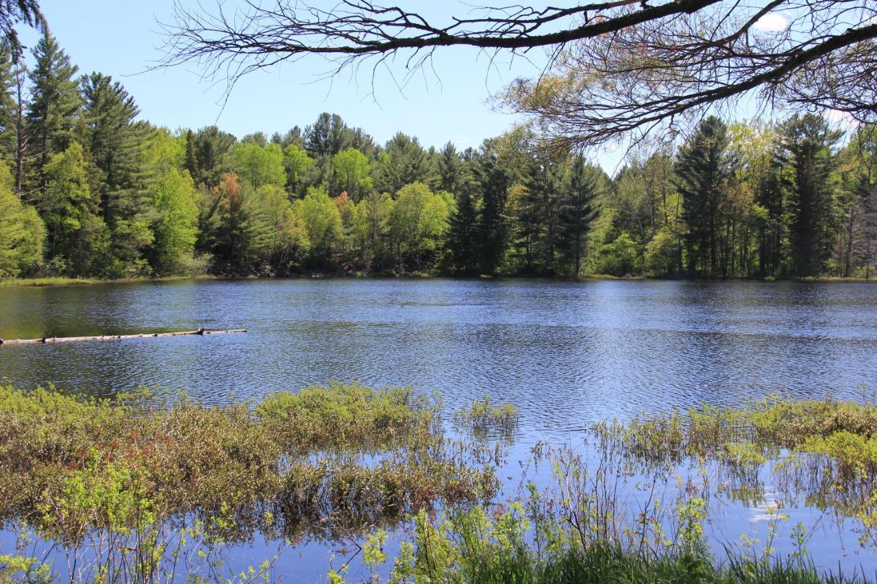 Spring Lake Resort Dwight Exterior foto