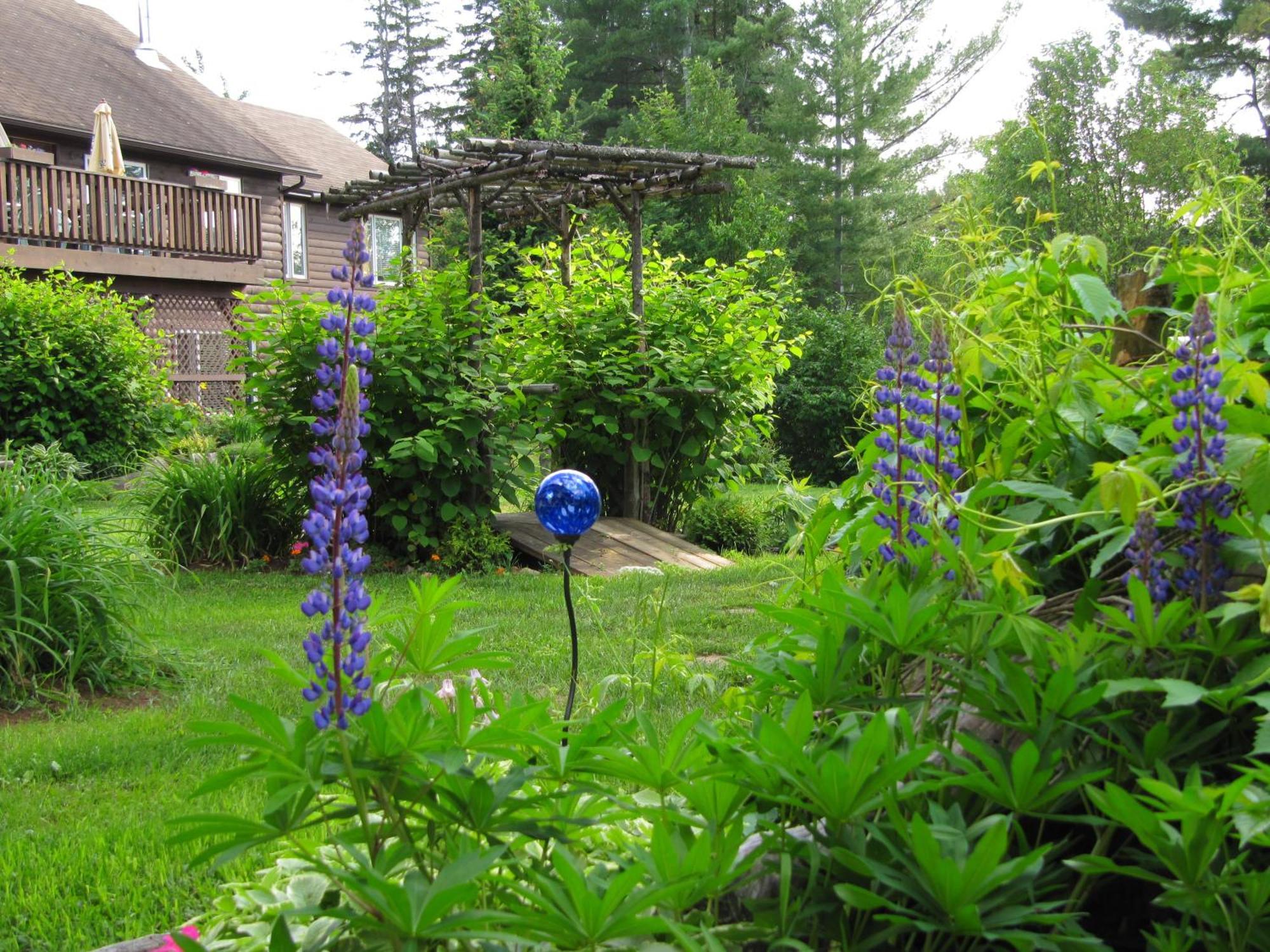 Spring Lake Resort Dwight Exterior foto